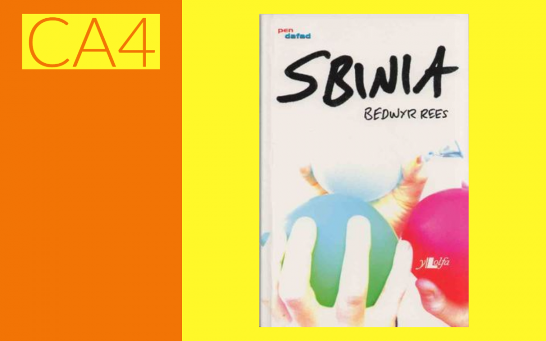 ‘Sbinia’ – Nofel gan Bedwyr Rees