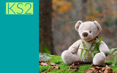 Teddy bear picnic and mini beast research