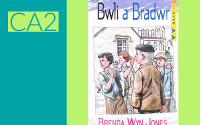 Darllen a Deall Bwli a Bradwr