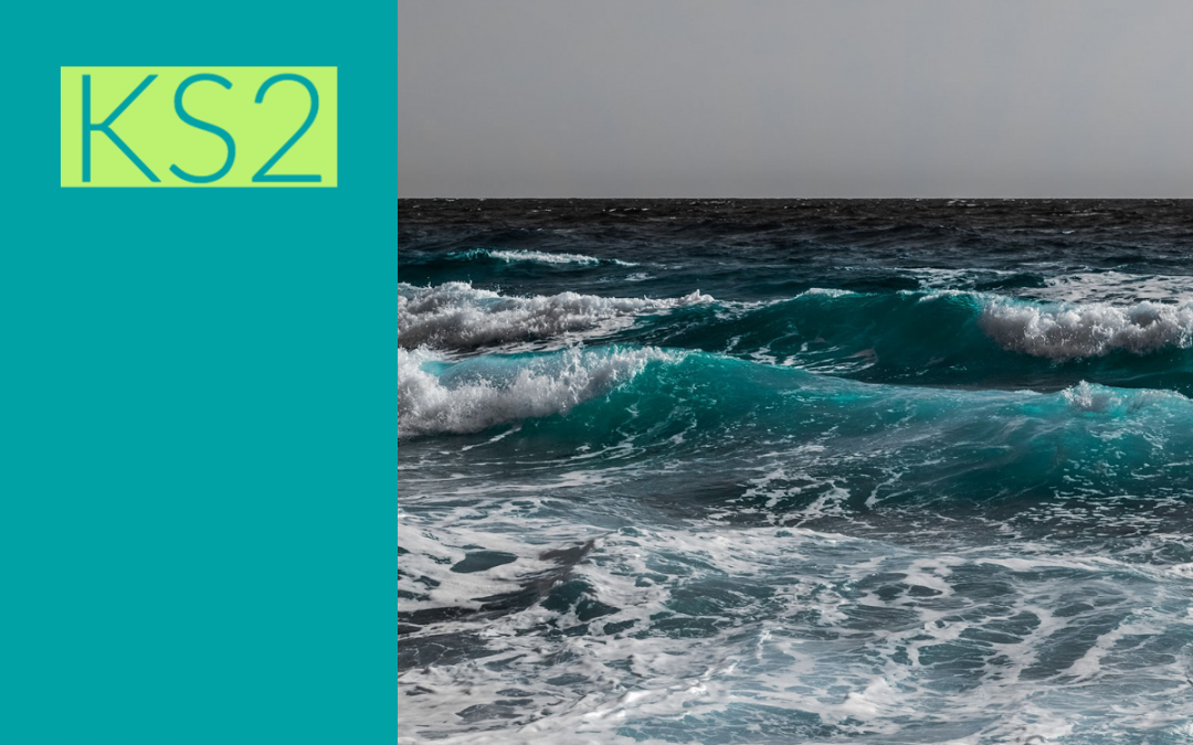 The High Seas