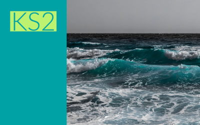 The High Seas