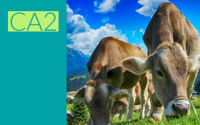 Bwyd a Ffermio – Bl 3 a 4
